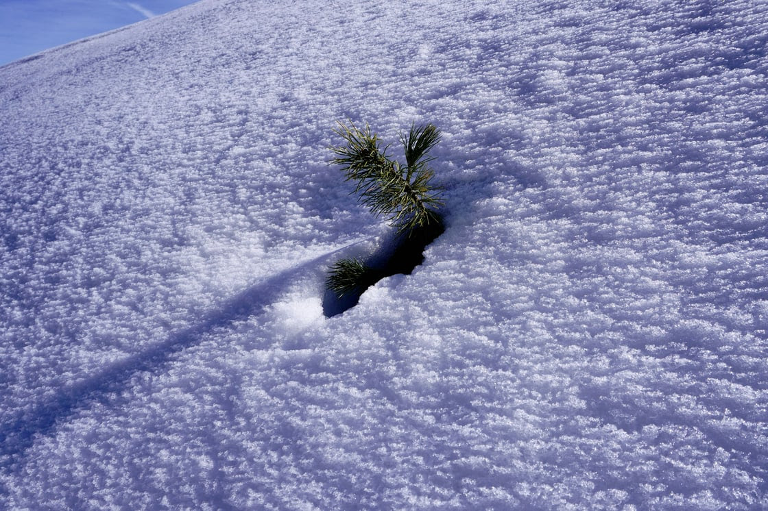 What If Setbacks Are An Invitation?