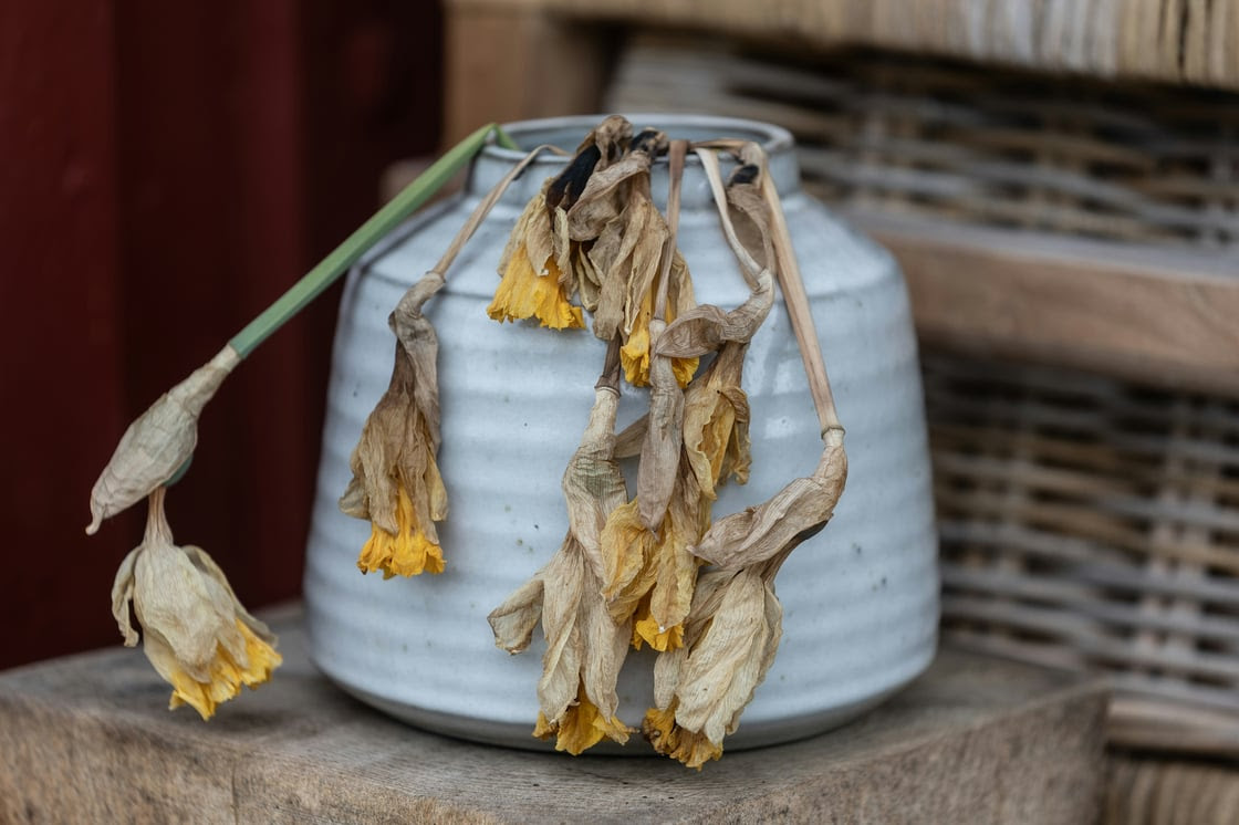 Saying yes is costing you more than you think